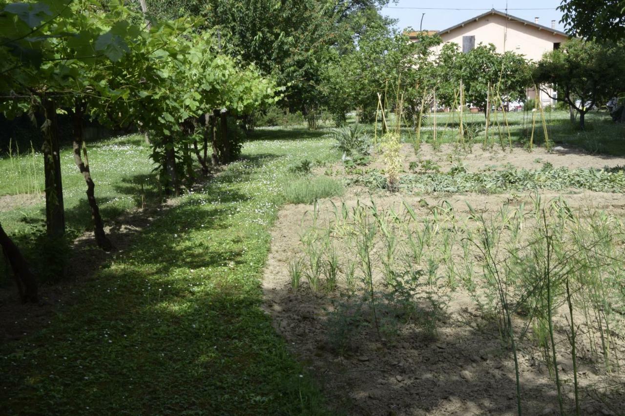 Capannone111 Bed and Breakfast Castiglione di Ravenna Εξωτερικό φωτογραφία